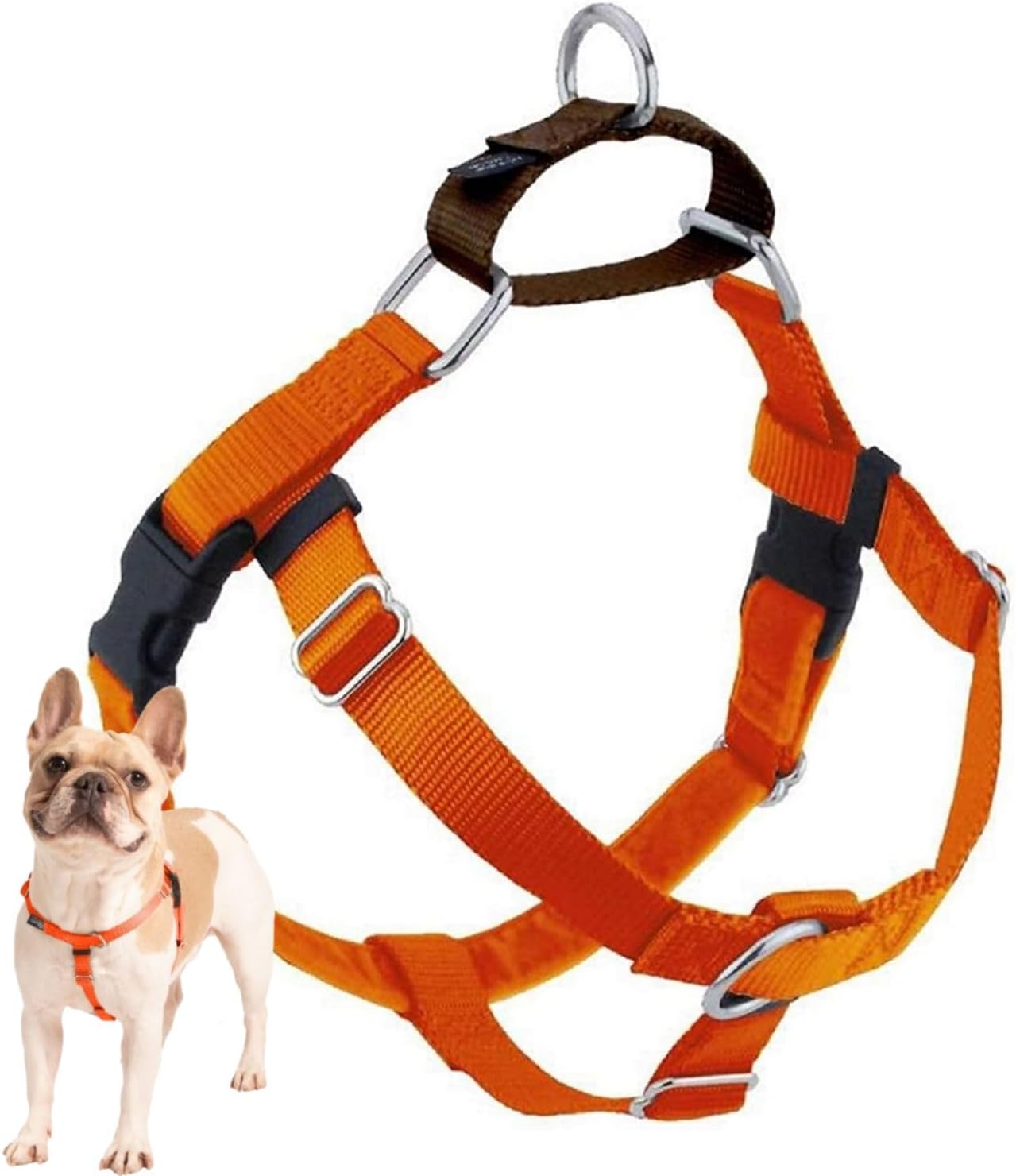 Freedom No-Pull Dog Harness for Comfortable & Controlled Walks