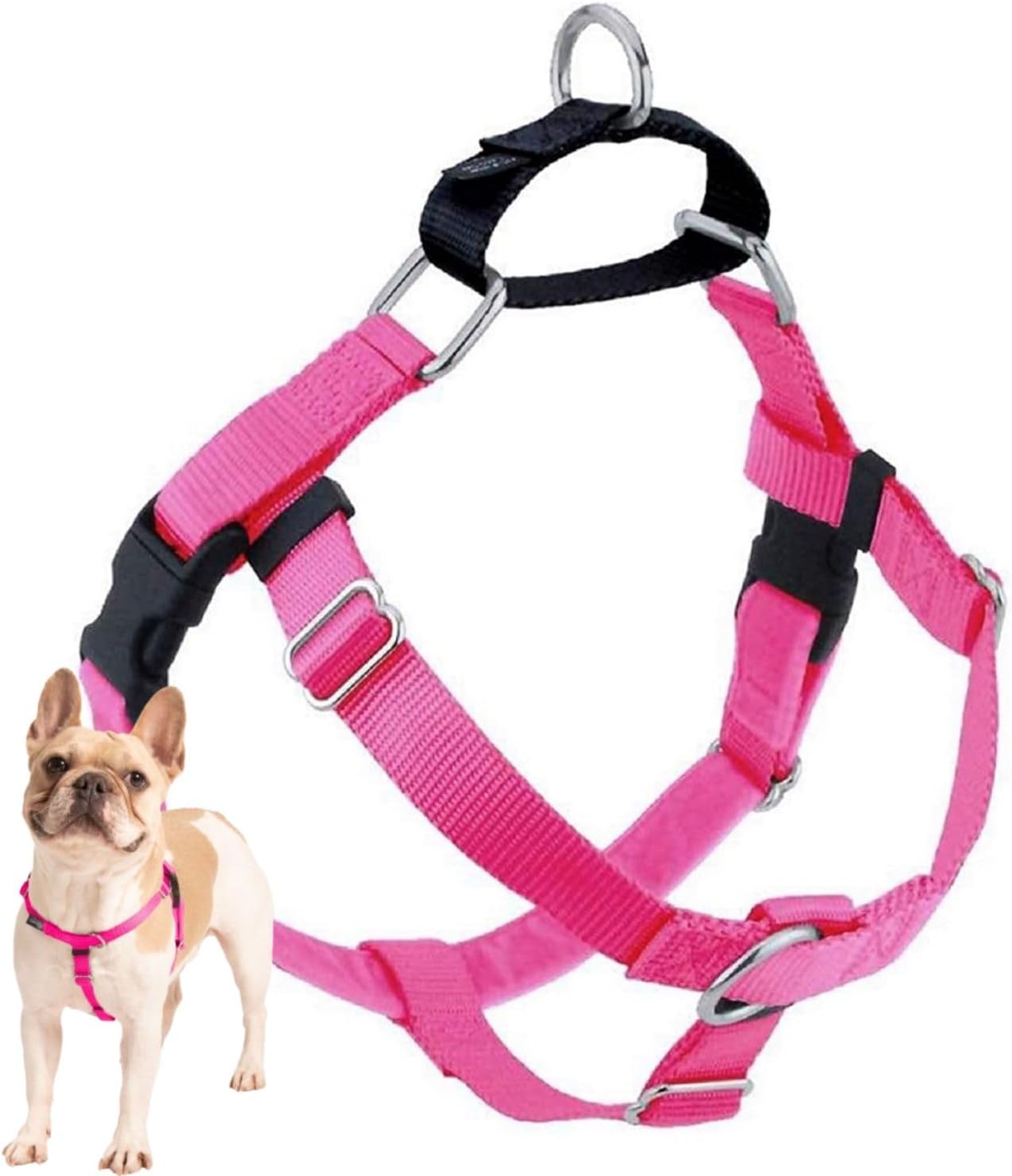 Freedom No-Pull Dog Harness for Comfortable & Controlled Walks