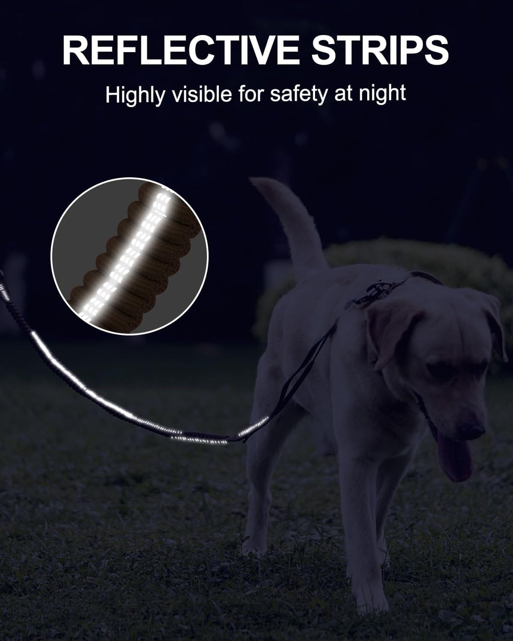 Heavy-Duty Tactical Dog Leash with Frog Clip & Shock-Absorbing Bungee