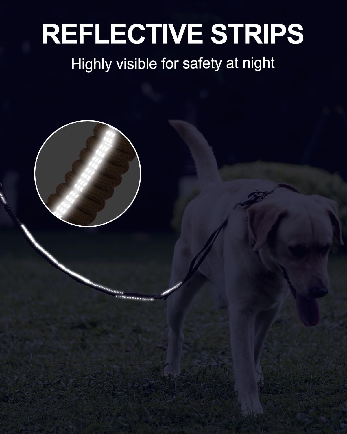 Heavy-Duty Tactical Dog Leash with Frog Clip & Shock-Absorbing Bungee
