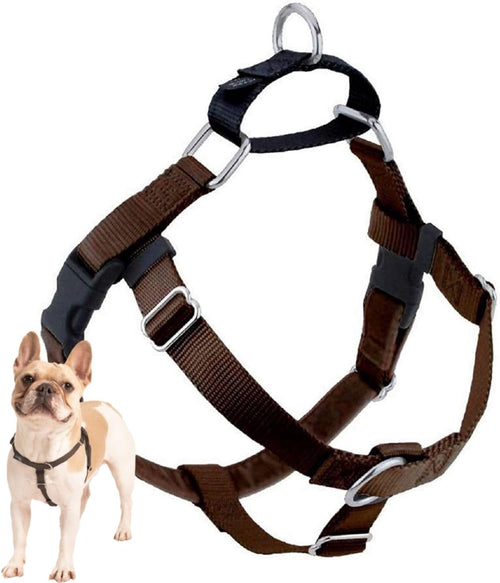 Freedom No-Pull Dog Harness for Comfortable & Controlled Walks