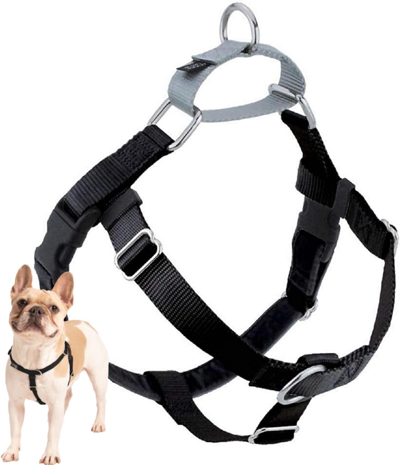 Freedom No-Pull Dog Harness for Comfortable & Controlled Walks