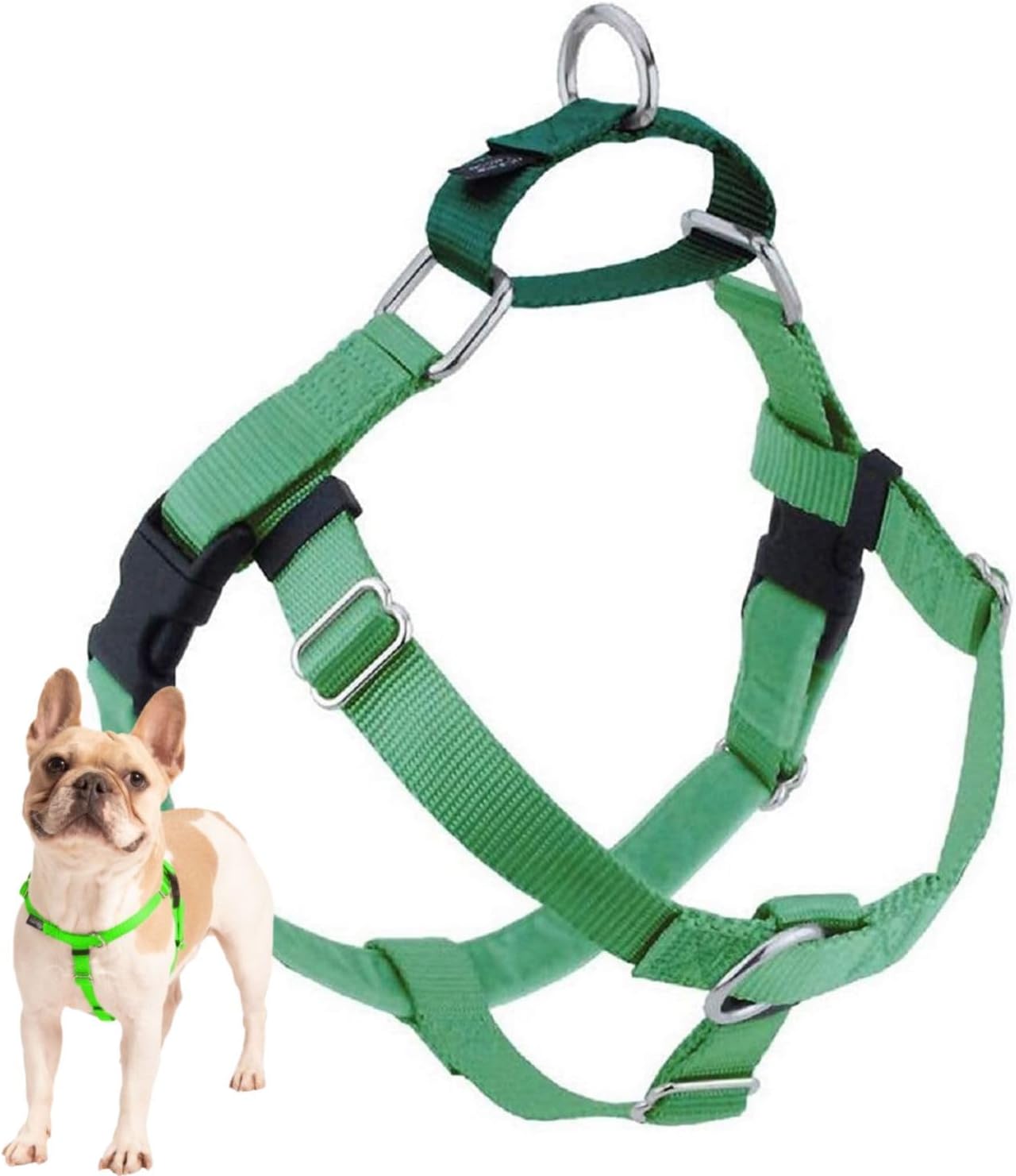Freedom No-Pull Dog Harness for Comfortable & Controlled Walks