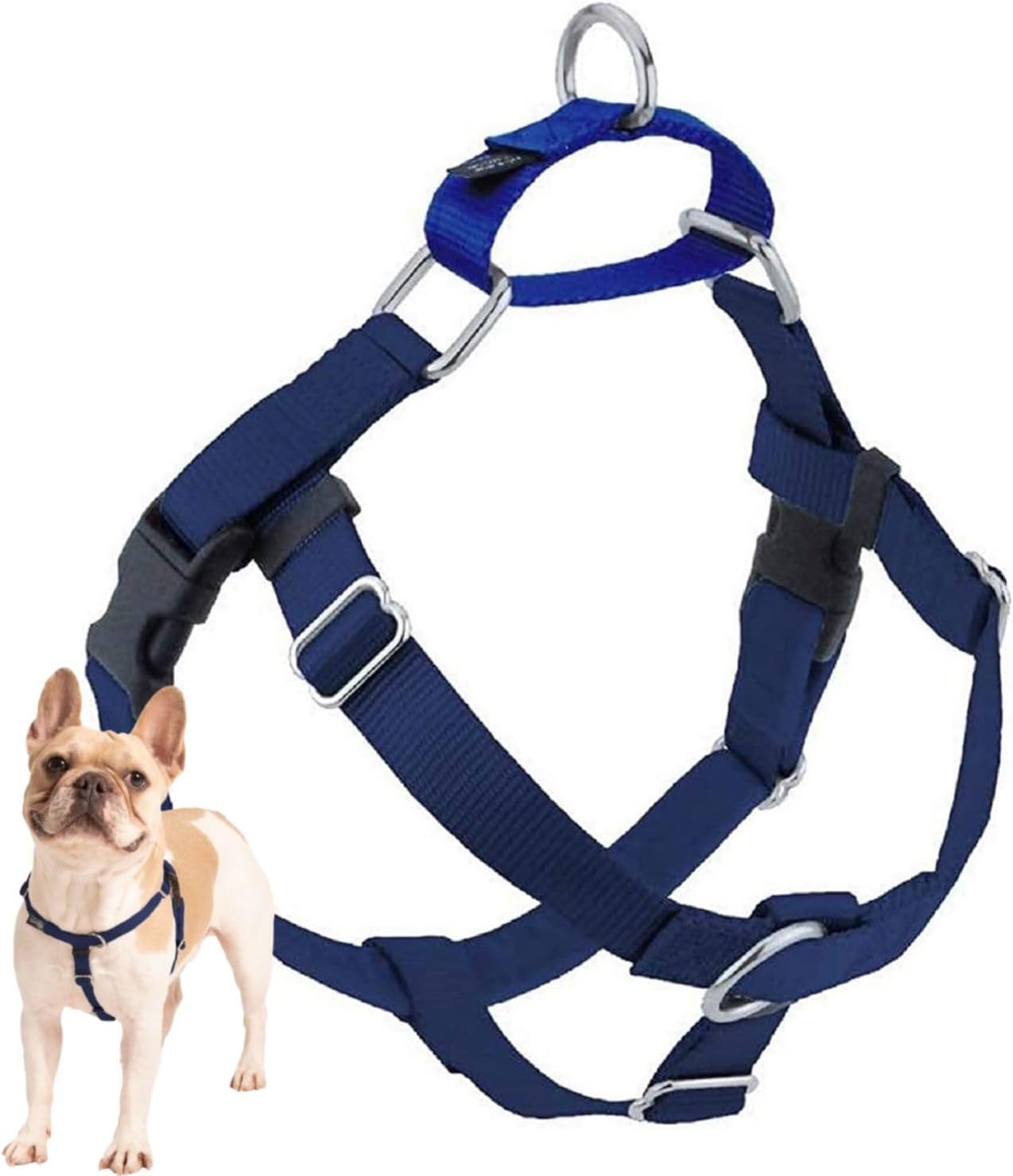 Freedom No-Pull Dog Harness for Comfortable & Controlled Walks