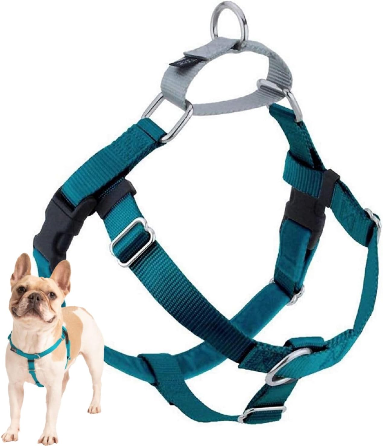 Freedom No-Pull Dog Harness for Comfortable & Controlled Walks