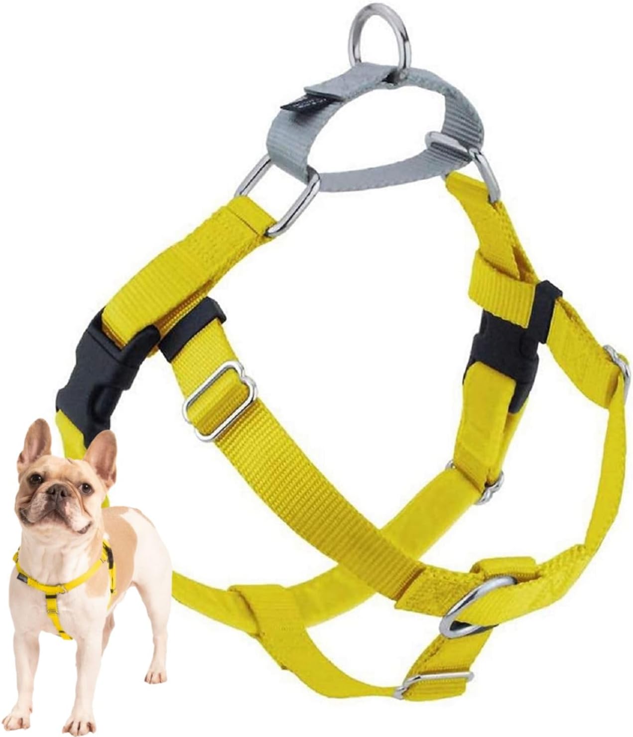Freedom No-Pull Dog Harness for Comfortable & Controlled Walks