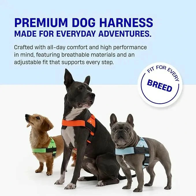 No-Pull Dog Harness with Quick-Fit Adjustable Comfort Design----Free Shipping