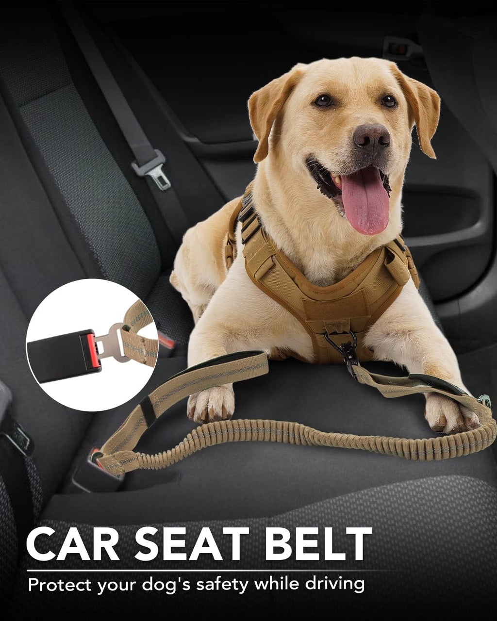 Heavy-Duty Tactical Dog Leash with Frog Clip & Shock-Absorbing Bungee