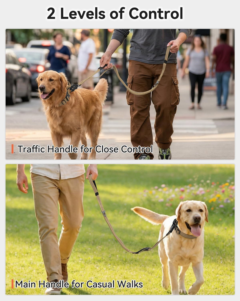 Heavy-Duty Tactical Dog Leash with Frog Clip & Shock-Absorbing Bungee