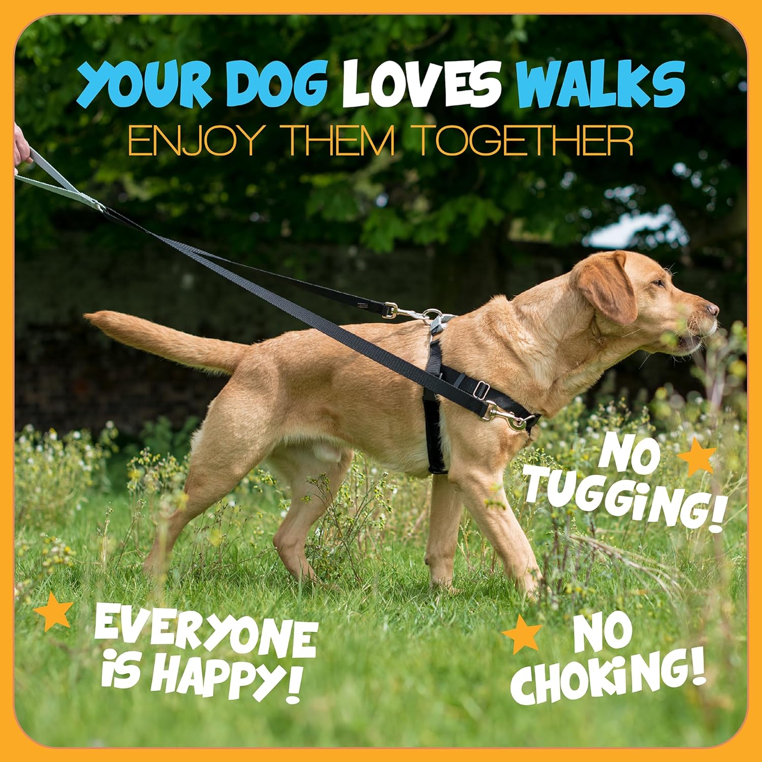 Freedom No-Pull Dog Harness for Comfortable & Controlled Walks