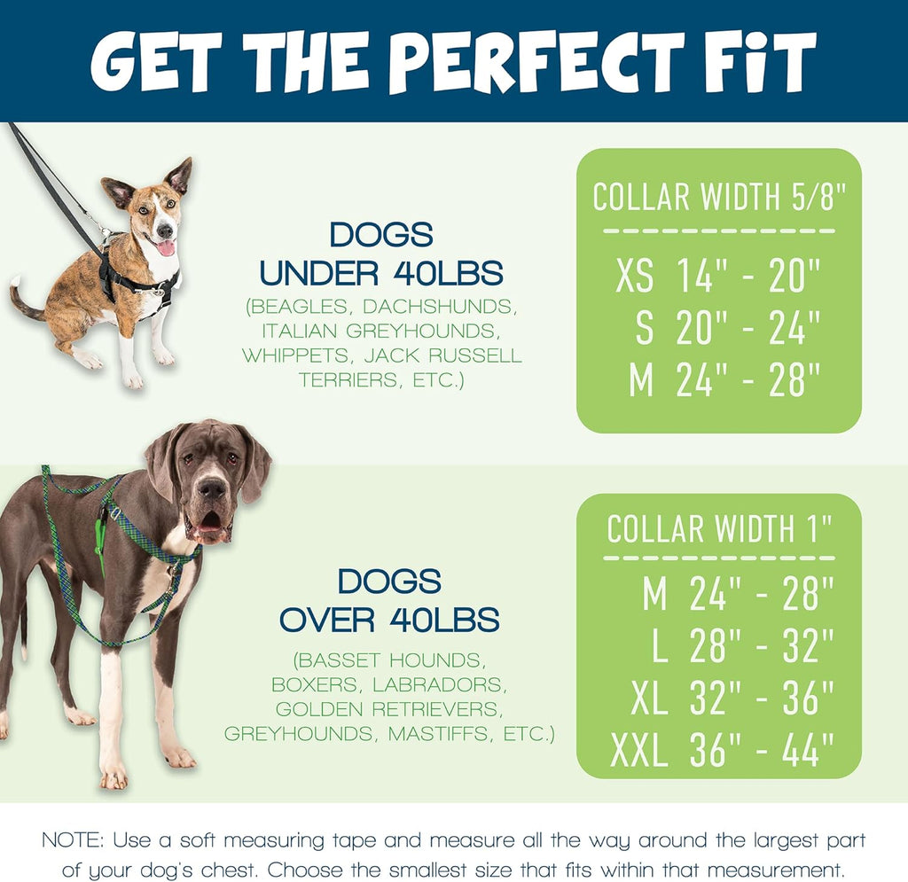 Freedom No-Pull Dog Harness for Comfortable & Controlled Walks