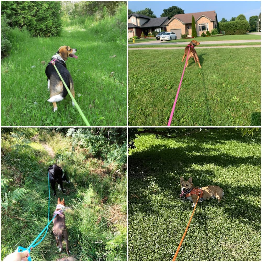 Heavy-Duty Rope Dog Leash with Comfortable Grip & Tangle-Free Clip