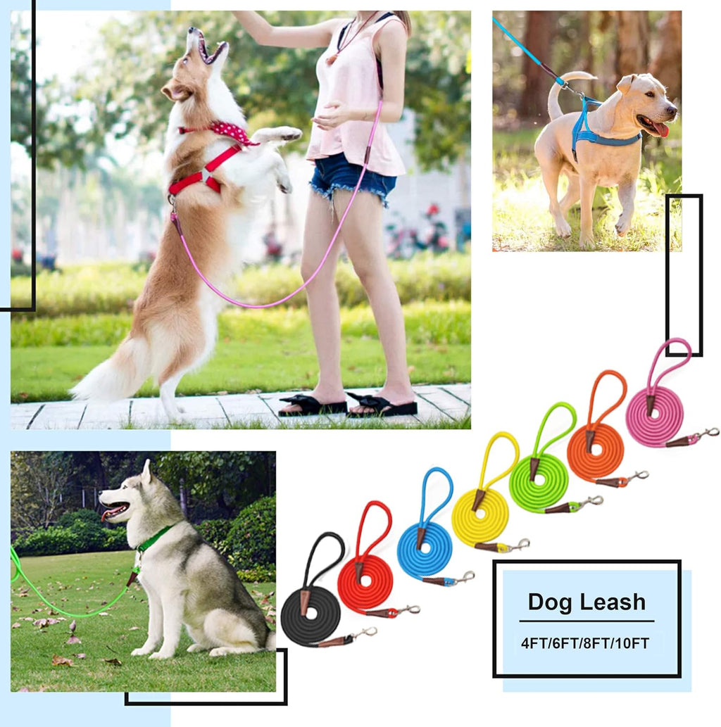Heavy-Duty Rope Dog Leash with Comfortable Grip & Tangle-Free Clip