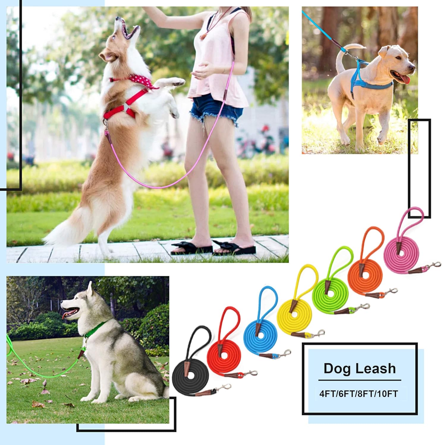 Heavy-Duty Rope Dog Leash with Comfortable Grip & Tangle-Free Clip