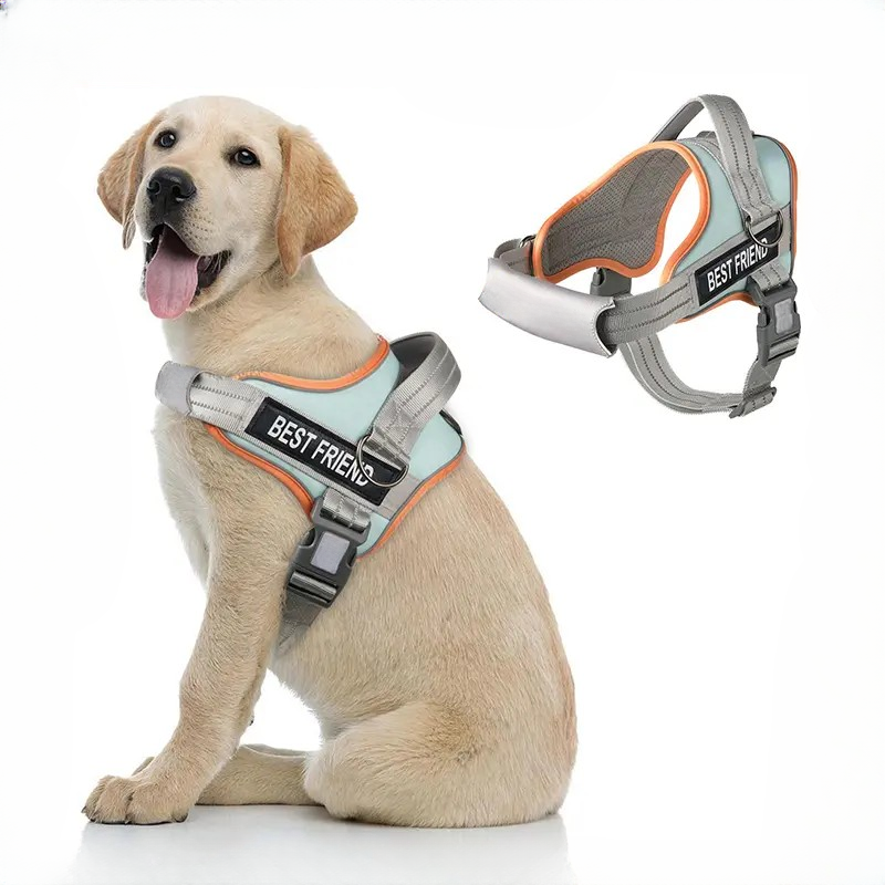 No-Pull Dog Harness with Adjustable Comfort Fit