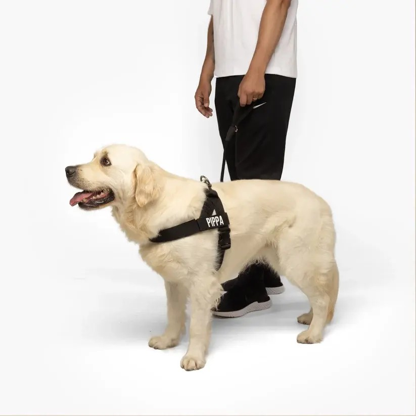 No-Pull Dog Harness with Quick-Fit Adjustable Comfort Design----Free Shipping
