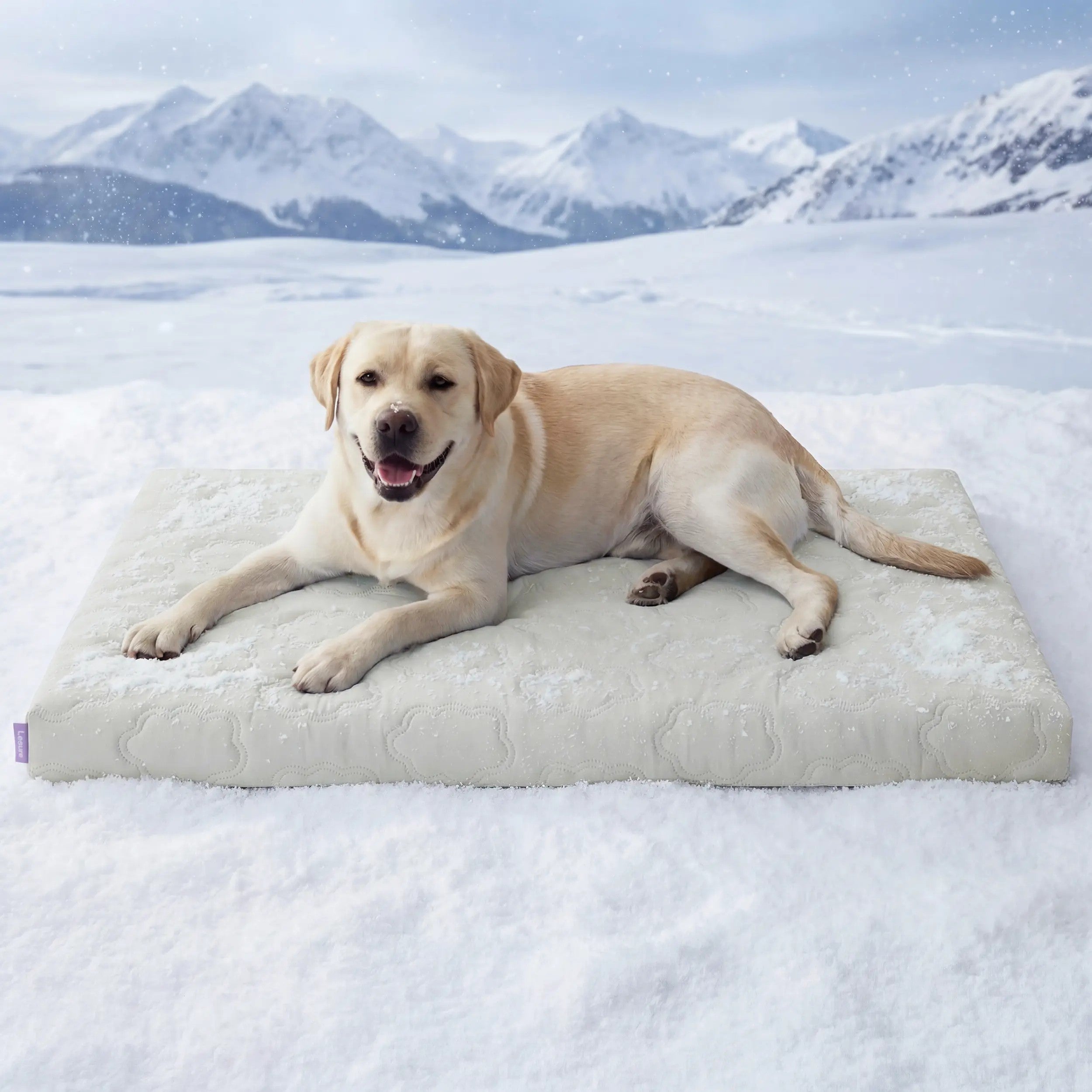 Cooling Orthopedic Dog Bed Instant Cooling Comfort & Supportive Sleep for Your Dog