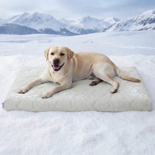 Cooling Orthopedic Dog Bed Instant Cooling Comfort & Supportive Sleep for Your Dog