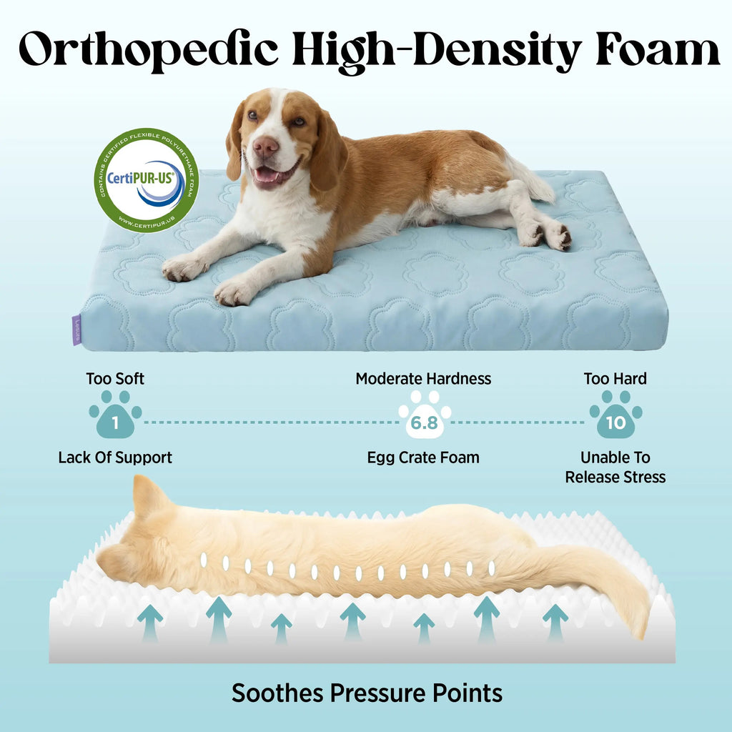 Cooling Orthopedic Dog Bed Instant Cooling Comfort & Supportive Sleep for Your Dog