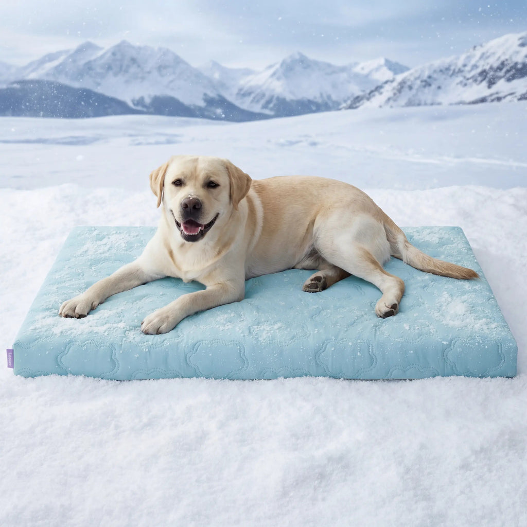 Cooling Orthopedic Dog Bed Instant Cooling Comfort & Supportive Sleep for Your Dog