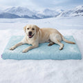 Cooling Orthopedic Dog Bed Instant Cooling Comfort & Supportive Sleep for Your Dog